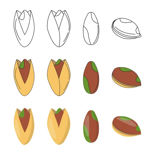 Set of pistachio in three styles — Stock Vector