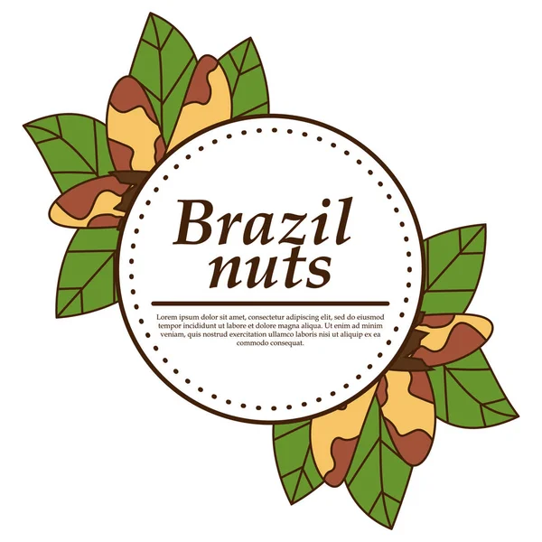 Logotipo de tuerca de Brasil vectorial en estilo de dibujos animados . — Vector de stock