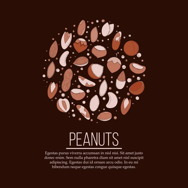 Concepto de tarjeta de frutos secos. Ilustración vectorial para diseño y web , — Vector de stock
