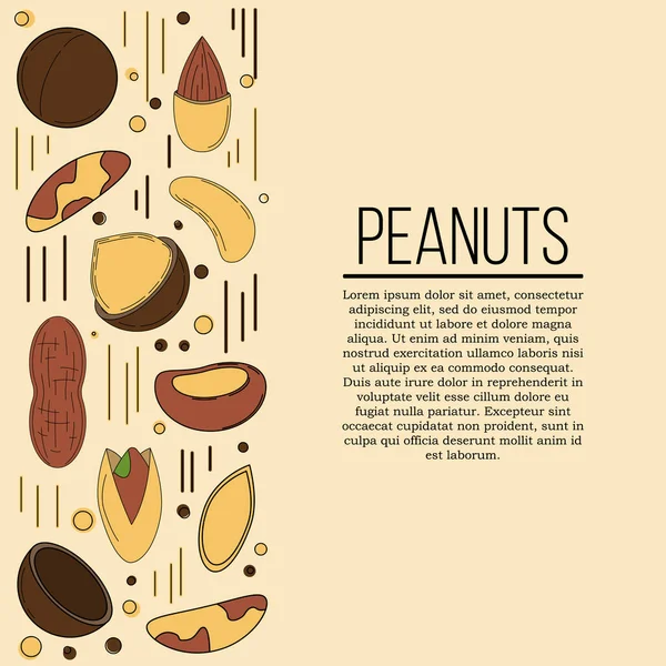 Concepto de tarjeta de frutos secos. Ilustración vectorial para diseño y web , — Vector de stock
