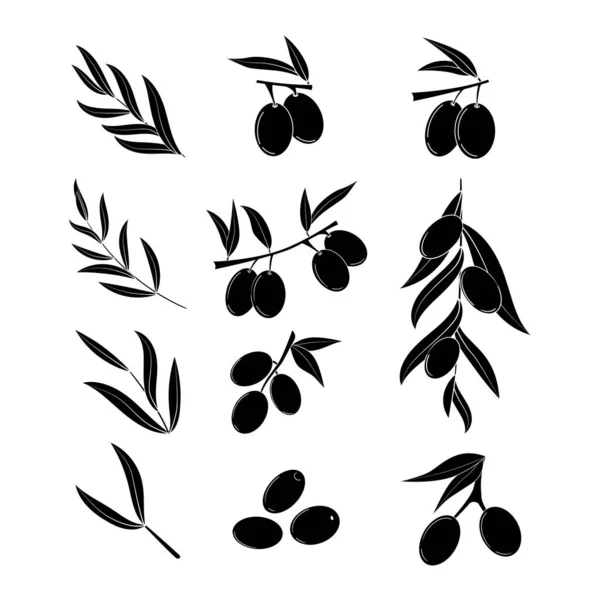 Bir çift zeytin silueti. Tasarım, ağ ve dekor için illüstrasyon