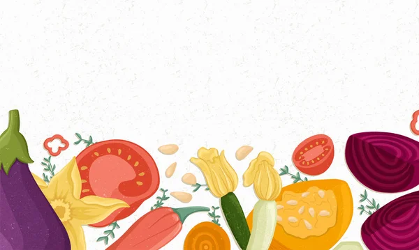 Tomates, abobrinha, abóbora, berinjelas, beterraba bandeira horizontal ou quadro para o projeto do mercado agrícola . — Vetor de Stock