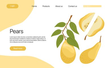Metin alanı olan vektör armutları iniş sayfası şablonu. Çizgi film resimli armut dilimleri. Sağlıklı organik armut meyve web sayfası tasarımı.