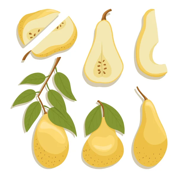 Colección Peras Vectoriales Estilo Dibujos Animados Frutos Pera Brillante Aislados — Vector de stock