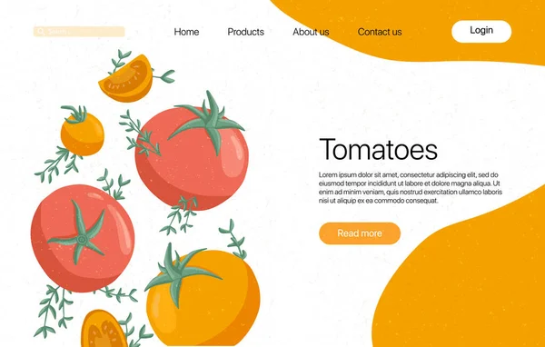 矢量西红柿登陆页模板与文字空间 樱桃西红柿和迷迭香卡通画 健康的有机番茄片和迷迭香网页设计 — 图库矢量图片