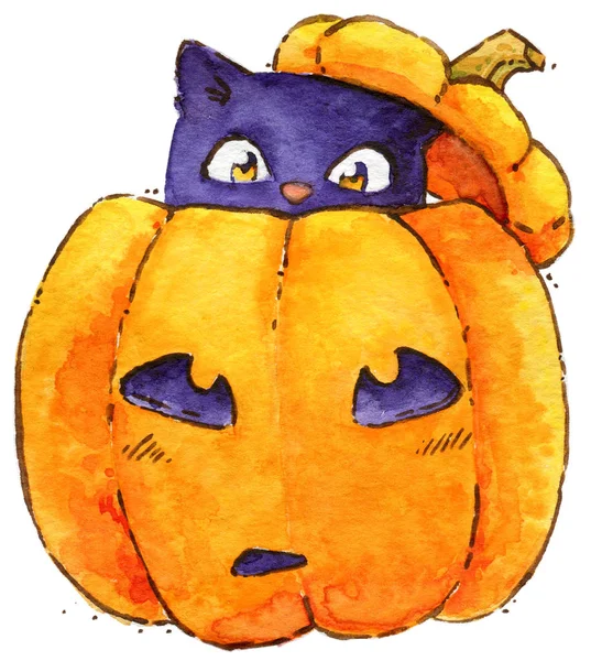 Halloween Pumpkin Cat Watercolor — Stock Photo, Image