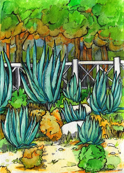 Árboles Arena Arbusto Cactus Pinos Dibujo Mano —  Fotos de Stock