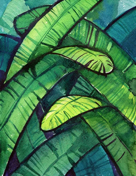 Palmera hojas plátano fondo verde acuarela — Foto de Stock