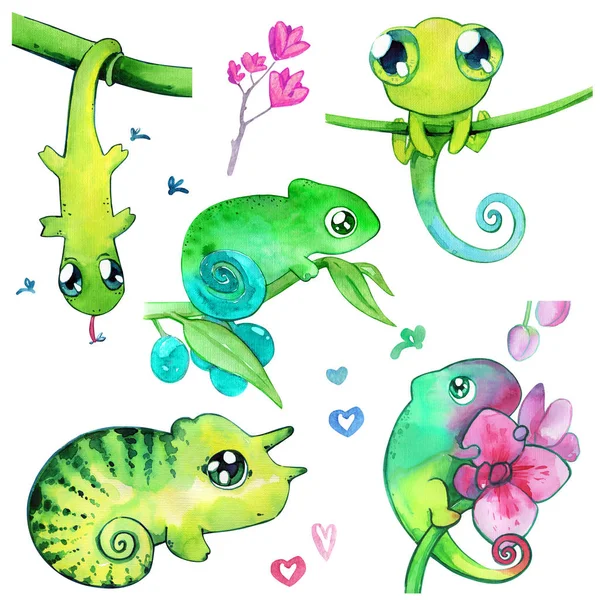 Chameleon roztomilé dětské kawaii zelené akvarel, samostatný set — Stock fotografie