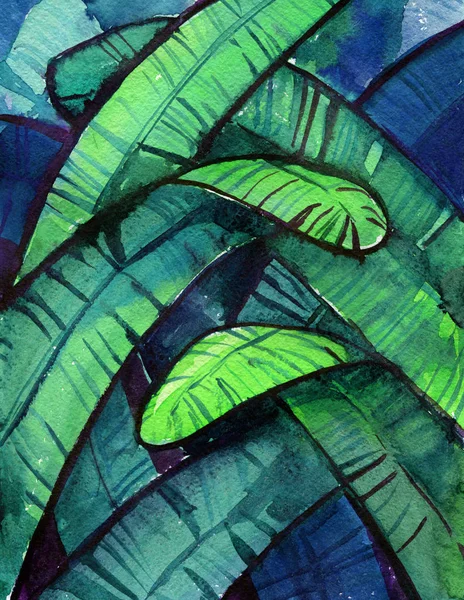 Selva noite palma deixa bananas aquarela fundo — Fotografia de Stock