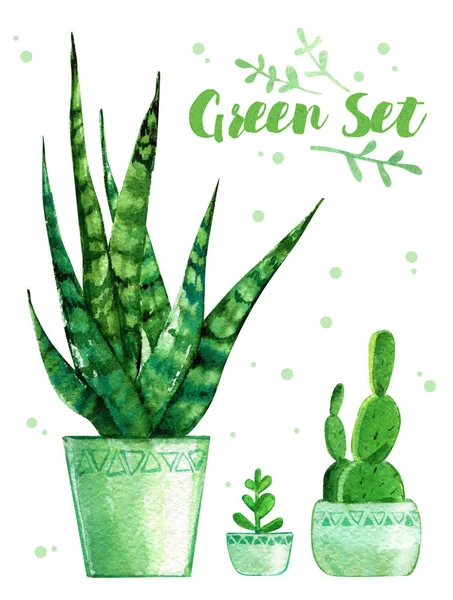 Plants in pots home green watercolor isolated — Stock Photo, Image