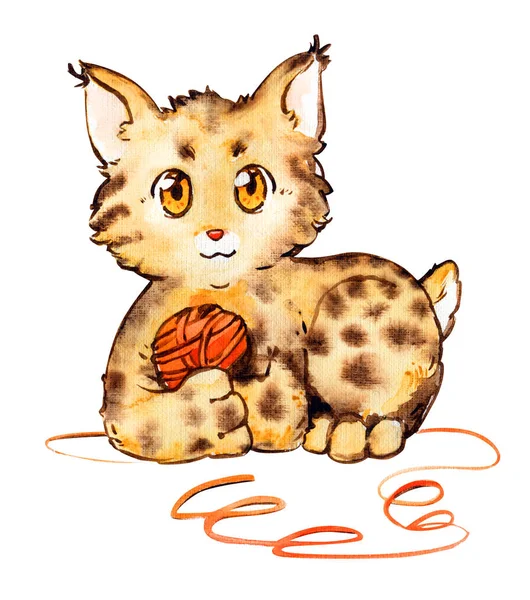 Λουξ χαριτωμένο όμορφο χνουδωτό χνουδωτά κουβάρι γάτα απομονωμένη — Φωτογραφία Αρχείου