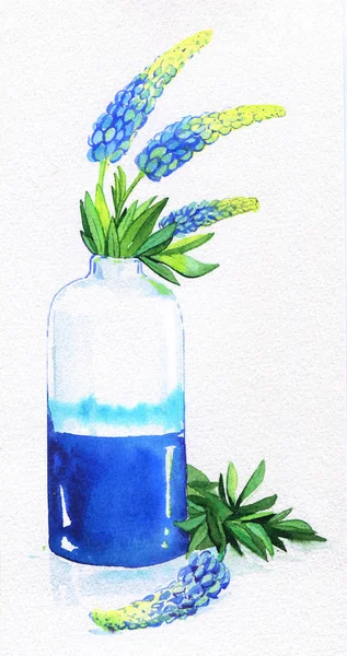Florero lupino verano azul hojas acuarela ilustración — Foto de Stock