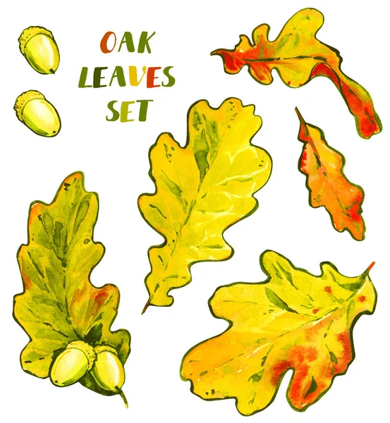 Foglie di quercia ramo ghiande giallo autunno acquerello isolato — Foto Stock