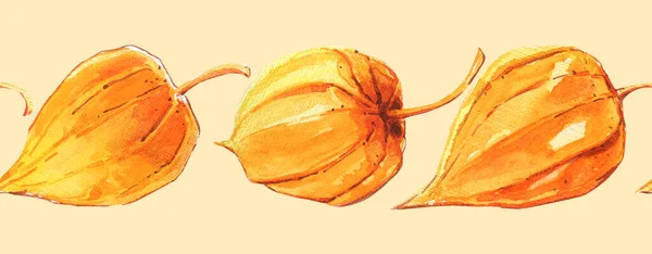 Physalis Owoce Kwiaty Żółty Zbliżenie Wzór Granica Poziome Ładne Opakowanie — Zdjęcie stockowe