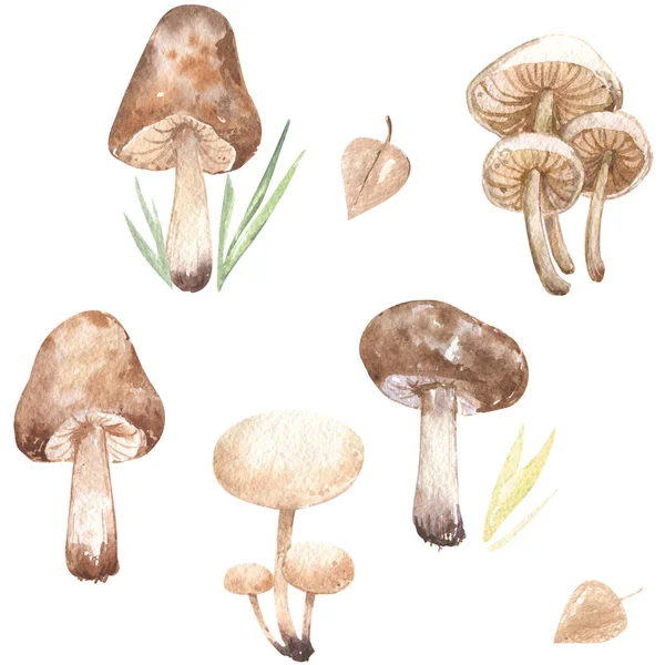 Paddenstoelen Bos Herfst Seizoen Bladeren Gras Beige Tender Patroon Herhalen — Stockfoto