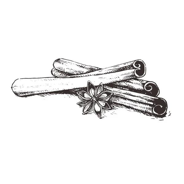 Elle çizilmiş kroki tarzı tarçın ve anasonu ile sopalarla demet. Vektör sağlıklı baharat koleksiyonu. Mevsimlik yemekler. Oyulmuş stil baharat ve tat. Pişirme ve mulled şarap madde.