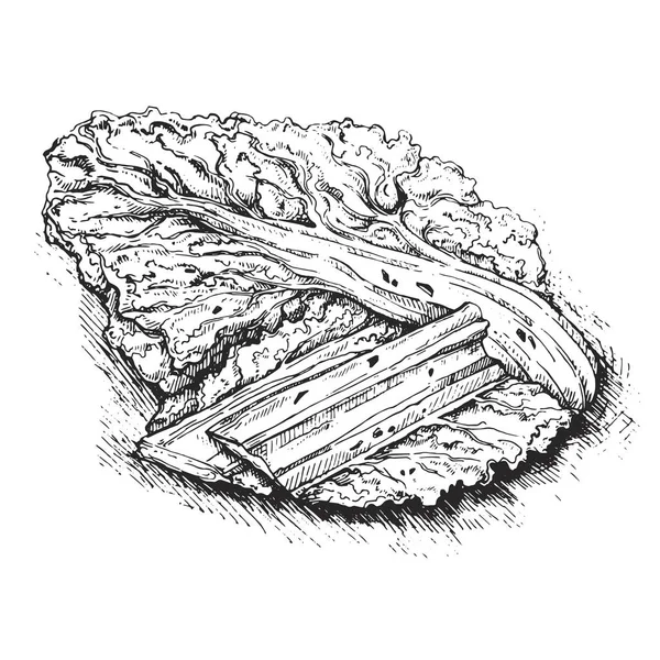 Resimde Kimchi salata pirinç, Kore yemeği geleneksel. Kore yemeği kroki. Asya mutfağı. Menü, kafe, Restoran, poster, afiş, amblem, etiket, afiş ve diğer tasarım için kullanılabilir