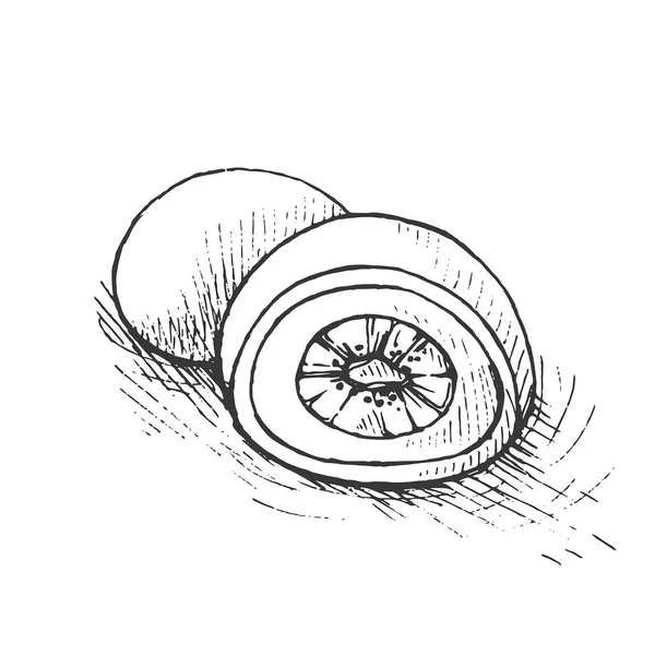 Vektör illüstrasyon Japon tatlı : tatlı fasulye ezmesi ve kivi ile mochi dondurma. Çizim.