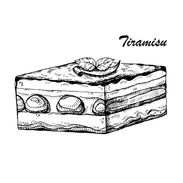 Tiramisu - geleneksel İtalyan tatlı mascarpone ve kahve ile vektör çizim el çekilmiş.