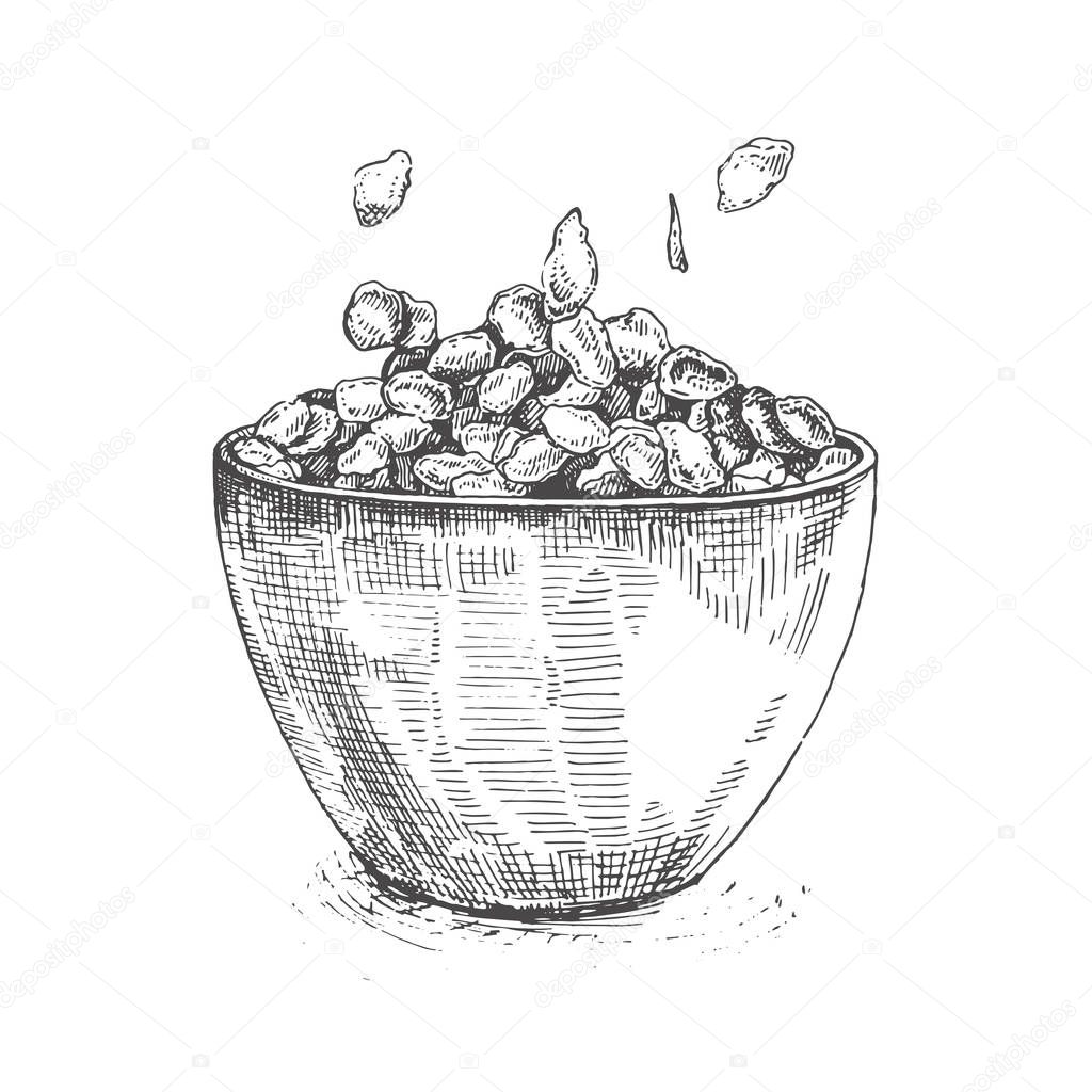 Illustration bowl of sugar-coated corn flakes.Sketch cereal.ketch porridge corn flakes and muesli isolated on white background.Set of porridge breakfast, healthy muesli organic drawing.