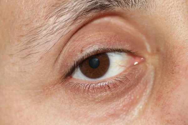 Her bir çift küresel organların başında hangi aracılığıyla insanların ve omurgalı hayvanlar, genellikle göz kapakları ile hayvanlarda badem şeklinde görünen görünür parçası görmek.