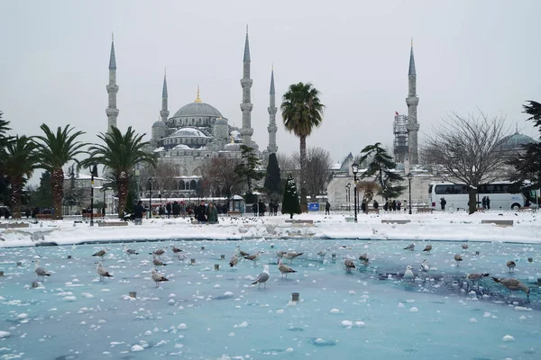 雪の日にスルタン アフメット モスク スルタンアフメット イスタンブール トルコ — ストック写真