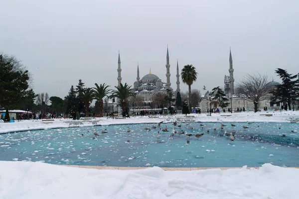 Sultan Ahmet Camii karlı bir günde. Sultanahmet, Istanbul, Türkiye.