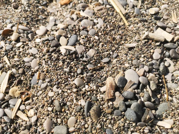 Güzel arka plan resmi çakıl taşları, çeşitli doku çakıl taşları, deniz çakıl taşları, küçük taşlarla çakıl, kazık çakıl
