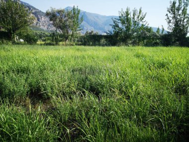 Toros Dağları başlangıçlar