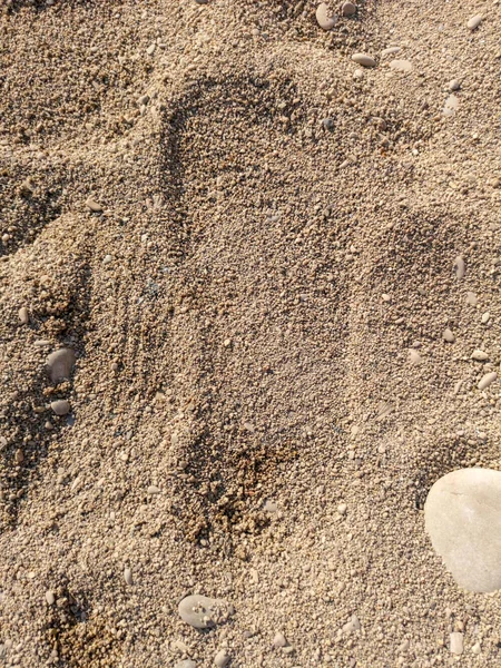 Footprint Sea Sand — Stock Photo, Image