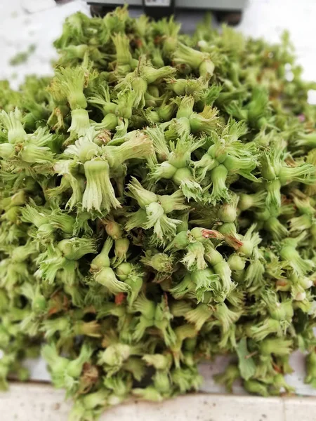 Otanak gelen taze fındık