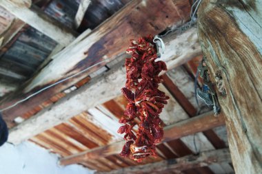 Bir köy evinin bölümleri.