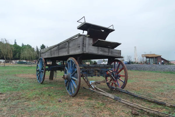 Verlassene Pferdekutsche Auf Dem Gras — Stockfoto