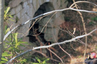 Kurşun su banyosu, Çatalca, istanbul