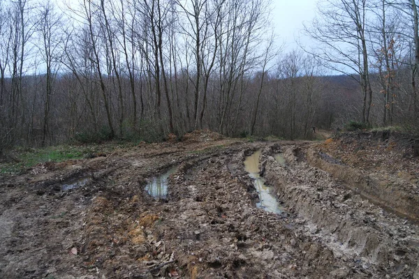 Mud Droga Deszczu Zdjęcia Stockowe bez tantiem