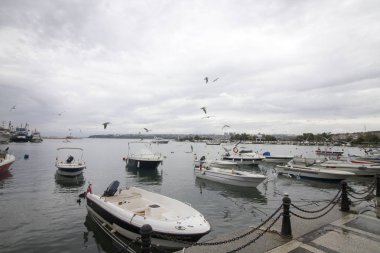 Kayık ve deniz uçan kuşların güzel manzara havada