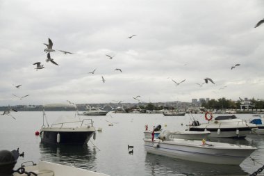 Kayık ve deniz uçan kuşların güzel manzara havada
