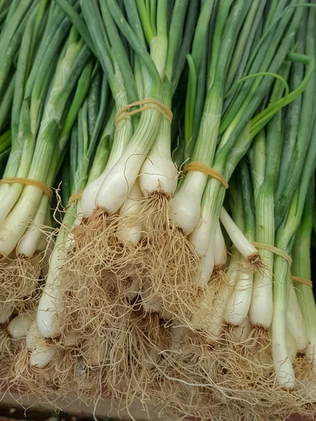 Bir demet taze soğan..