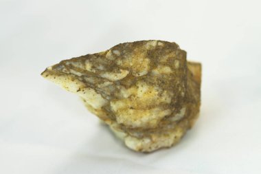 Bazı canlıların fosilleşmiş taşlar.