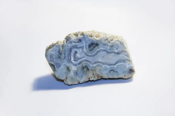 Skamieniałe Kamieni Niektóre Rzeczy Życia — Zdjęcie stockowe