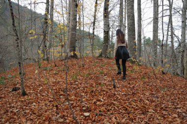 Kız yalnız ormanda yürüyüş