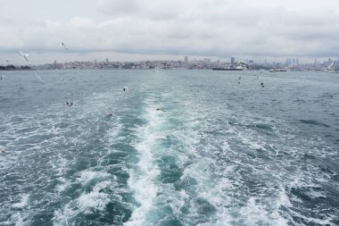Denizden gökyüzünde uçan martıları
