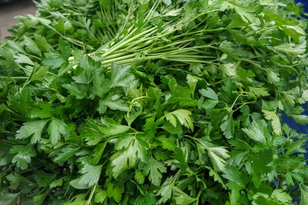 Menta Fresca Agradable Sabor Agradable Los Platos — Foto de Stock