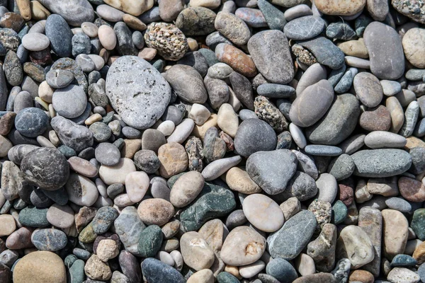 Yüzeyde ya da okyanuslarda açığa çıkan katı mineral maddeler Dünya 'nın yüzeyinin ve diğer benzer gezegenlerin bir kısmını oluşturuyor..