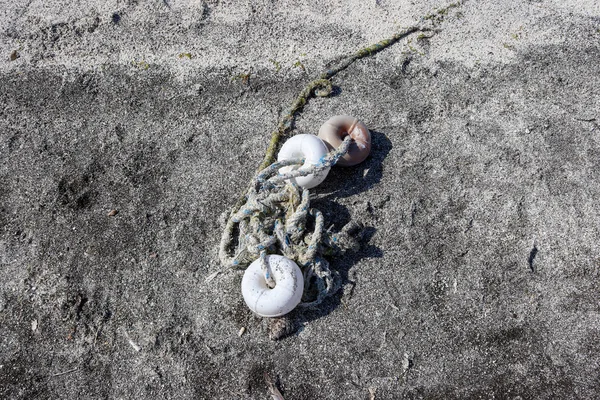 Seaweed Fishing Net Material Rotten — Stock Photo, Image