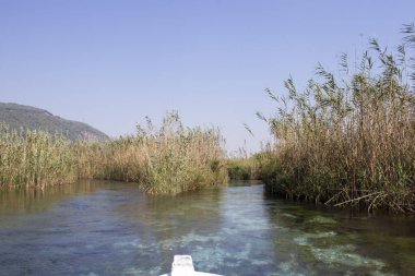 Marmaris Deresi ve berrak su dereleri, Türkiye