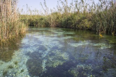 Marmaris Deresi ve berrak su dereleri, Türkiye