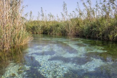 Marmaris Deresi ve berrak su dereleri, Türkiye