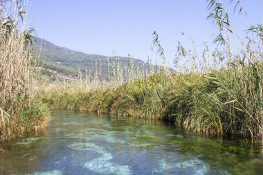 Marmaris Deresi ve berrak su dereleri, Türkiye